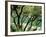 Rogue River, BLM Medford District, Siskiyou Mountains, Oregon, USA-Jerry & Marcy Monkman-Framed Photographic Print