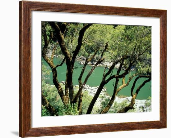 Rogue River, BLM Medford District, Siskiyou Mountains, Oregon, USA-Jerry & Marcy Monkman-Framed Photographic Print