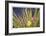 Rogue River Leaves-Donald Paulson-Framed Giclee Print