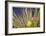 Rogue River Leaves-Donald Paulson-Framed Giclee Print