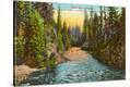 Stretched Canvas Print