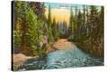Stretched Canvas Print