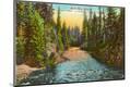 Premium Giclee Print