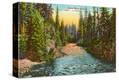 Stretched Canvas Print