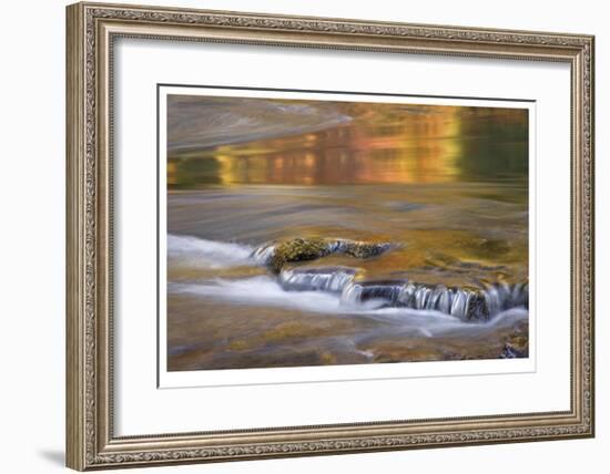 Rogue River Reflections I-Donald Paulson-Framed Giclee Print