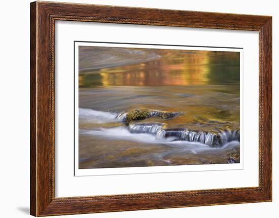 Rogue River Reflections I-Donald Paulson-Framed Giclee Print