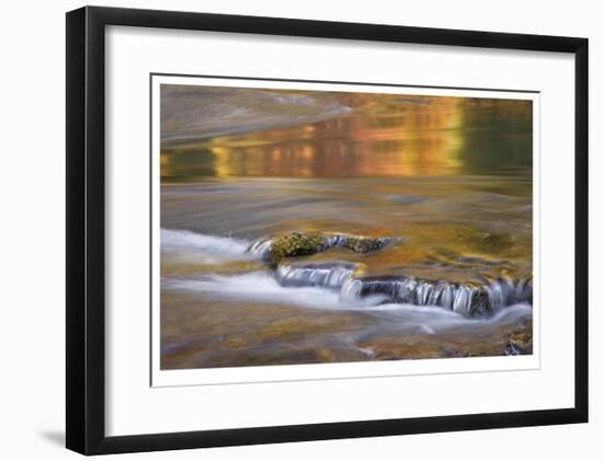 Rogue River Reflections I-Donald Paulson-Framed Giclee Print