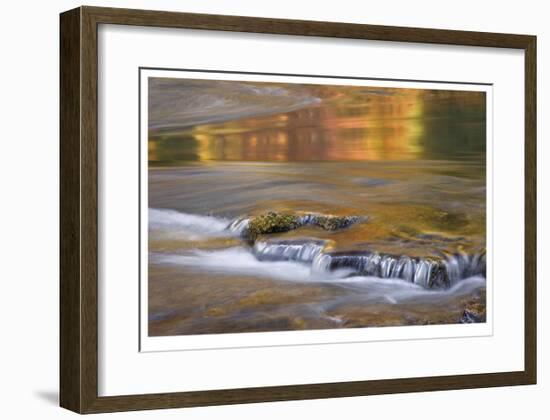 Rogue River Reflections I-Donald Paulson-Framed Giclee Print