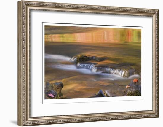 Rogue River Reflections II-Donald Paulson-Framed Giclee Print