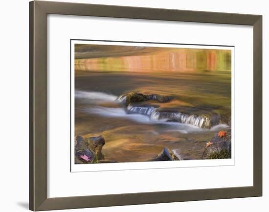 Rogue River Reflections II-Donald Paulson-Framed Giclee Print