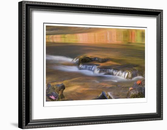 Rogue River Reflections II-Donald Paulson-Framed Giclee Print