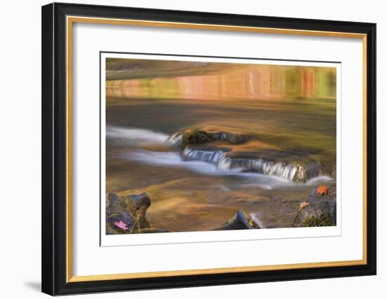 Rogue River Reflections II-Donald Paulson-Framed Giclee Print