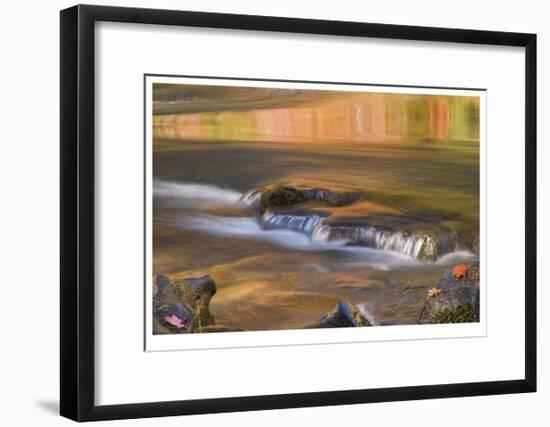 Rogue River Reflections II-Donald Paulson-Framed Giclee Print