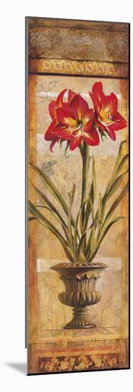 Rojo Botanical III-Douglas-Mounted Giclee Print