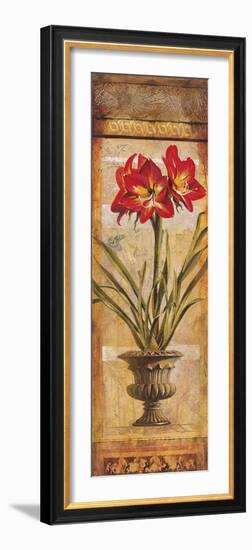 Rojo Botanical III-Douglas-Framed Giclee Print