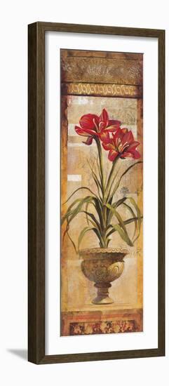 Rojo Botanical IV-Douglas-Framed Giclee Print