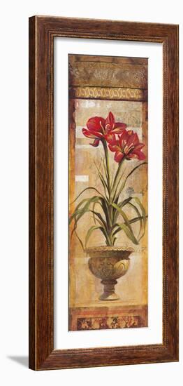 Rojo Botanical IV-Douglas-Framed Giclee Print