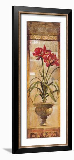 Rojo Botanical IV-Douglas-Framed Giclee Print