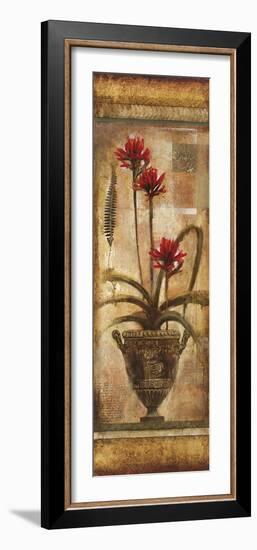 Rojo Botanical VII-Douglas-Framed Giclee Print