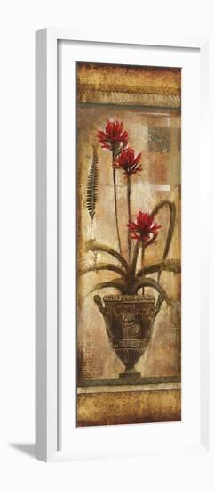 Rojo Botanical VII-Douglas-Framed Giclee Print