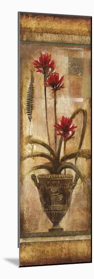 Rojo Botanical VII-Douglas-Mounted Giclee Print