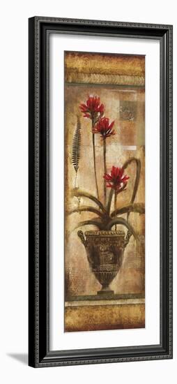 Rojo Botanical VII-Douglas-Framed Giclee Print