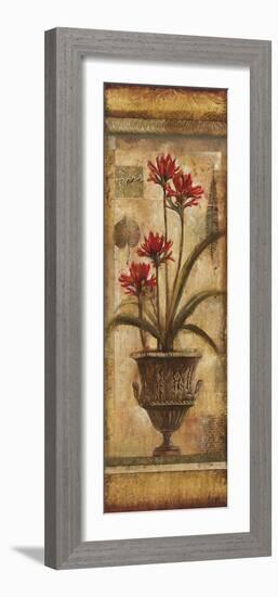 Rojo Botanical VIII-Douglas-Framed Giclee Print