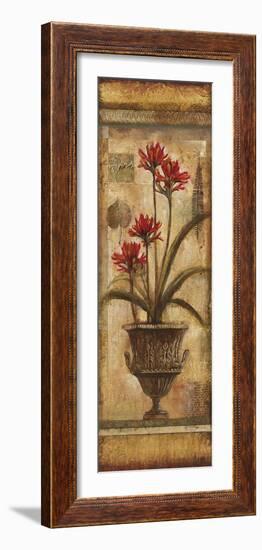 Rojo Botanical VIII-Douglas-Framed Giclee Print