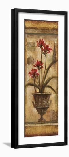 Rojo Botanical VIII-Douglas-Framed Giclee Print