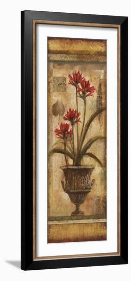 Rojo Botanical VIII-Douglas-Framed Giclee Print