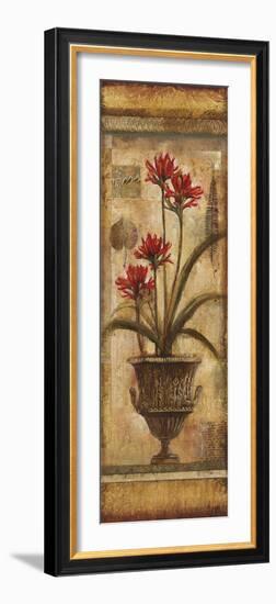 Rojo Botanical VIII-Douglas-Framed Giclee Print