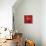 Rojo-Brent Nelson-Framed Stretched Canvas displayed on a wall
