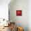 Rojo-Brent Nelson-Framed Stretched Canvas displayed on a wall