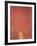 Roland Garros, 2008-Arnulf Rainer-Framed Collectable Print