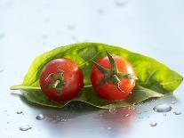 Two Cherry Tomatoes on a Basil Leaf-Roland Krieg-Photographic Print