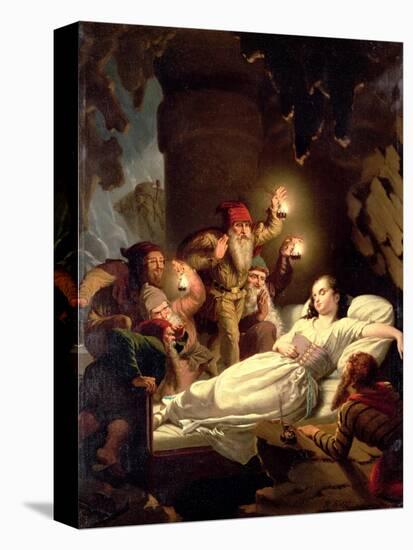 Stretched Canvas Print, , large