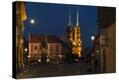Stretched Canvas Print
