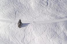 Skipiste, Snow, Skispuren, Skiers, Tree Austria-Roland T.-Photographic Print