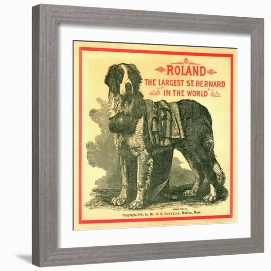 Roland the Largest St. Bernard in the World Trade Card-null-Framed Giclee Print