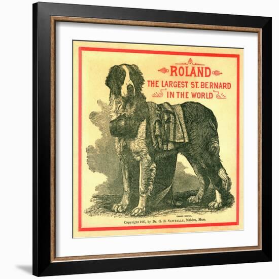 Roland the Largest St. Bernard in the World Trade Card-null-Framed Giclee Print