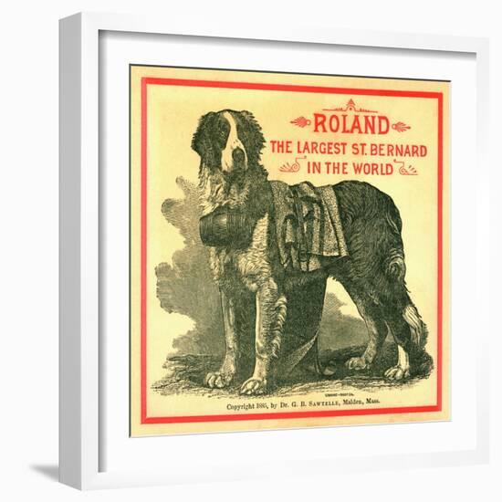 Roland the Largest St. Bernard in the World Trade Card-null-Framed Giclee Print