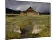 Photographic Print