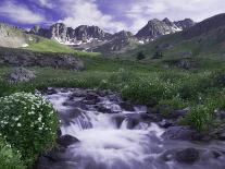 Waterfall and Wildflowers, Ouray, San Juan Mountains, Rocky Mountains, Colorado, USA-Rolf Nussbaumer-Photographic Print