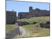 Photographic Print