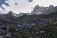 Bemooster Branch of a Harewood, Small Ahornboden, Karwendel, Tyrol-Rolf Roeckl-Photographic Print