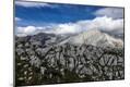 Photographic Print