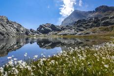 Schiefer See, Spronser Lake District, Texelgruppe, South Tirol-Rolf Roeckl-Photographic Print