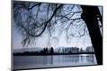 Photographic Print