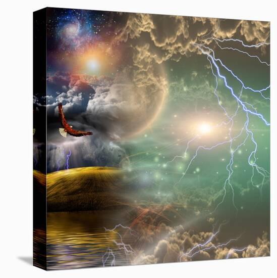 Stretched Canvas Print, , large