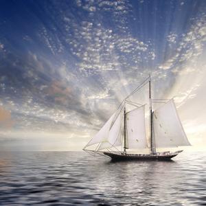 Sailboat Sun And Sky by rolffimages